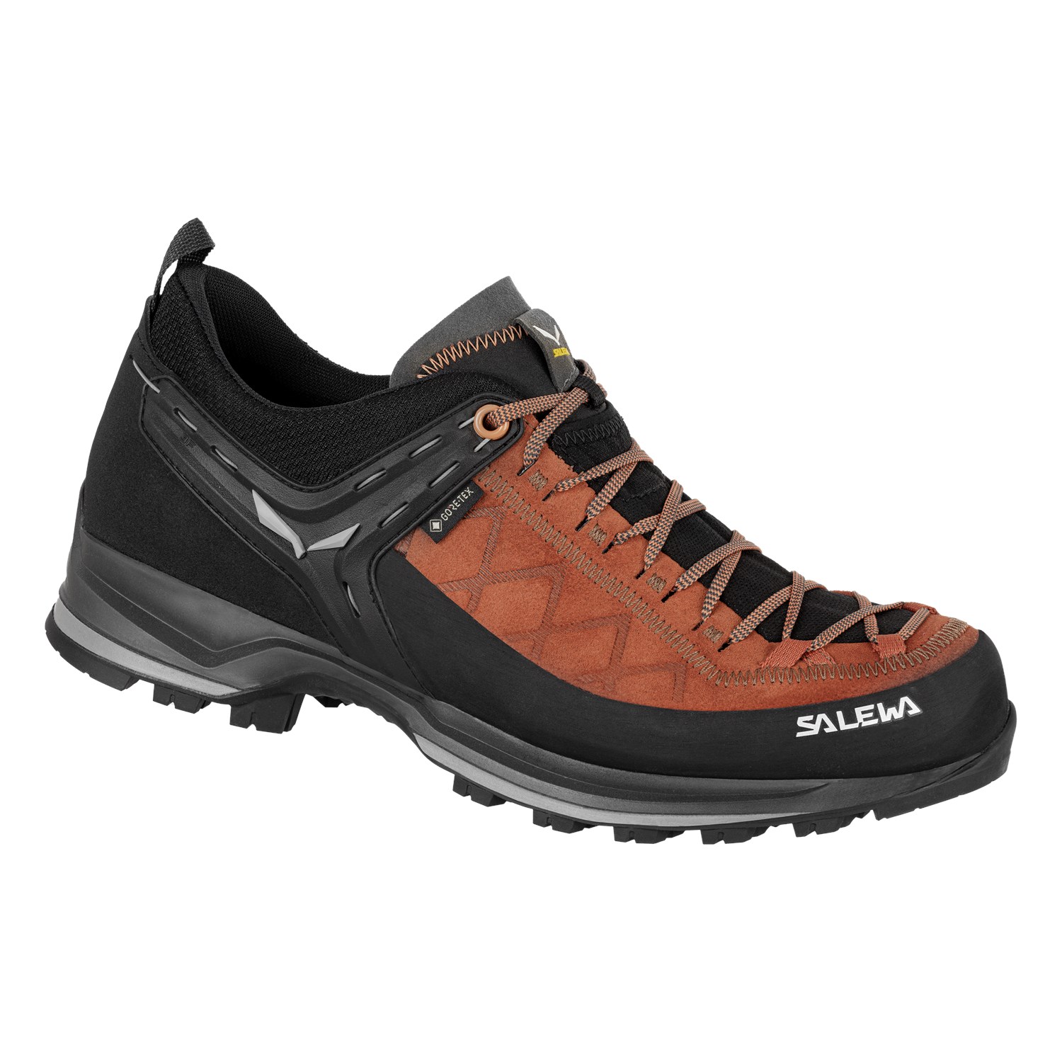 Mountain Trainer 2 GORE-TEX® Men's Shoes | Salewa® International