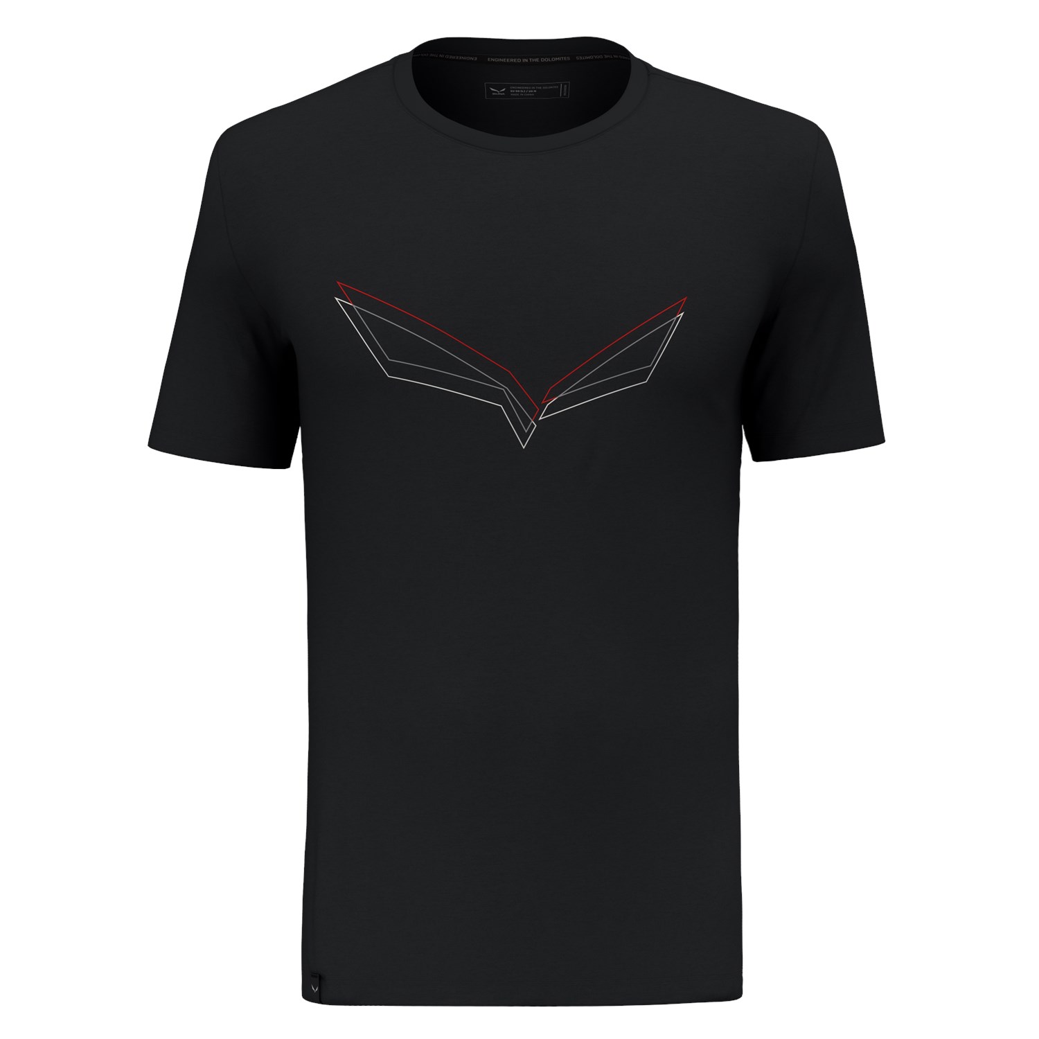Pure Eagle Frame Dry T-Shirt Men | Salewa® International
